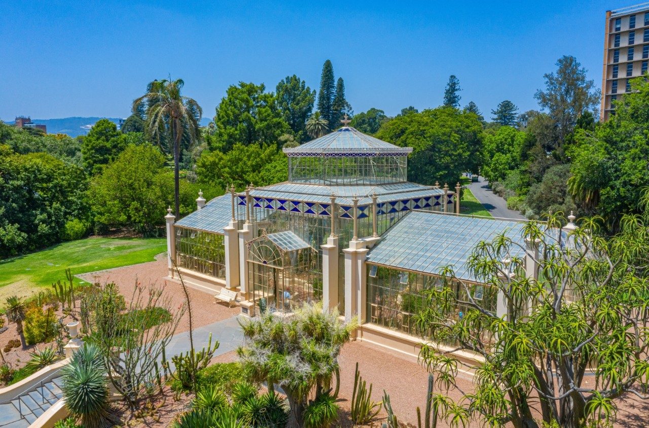 Palm House at the Botanic Garden in Adelaide