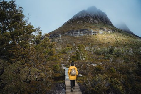 Cradle Mountain, Lake St Clair National Park, Tasmania