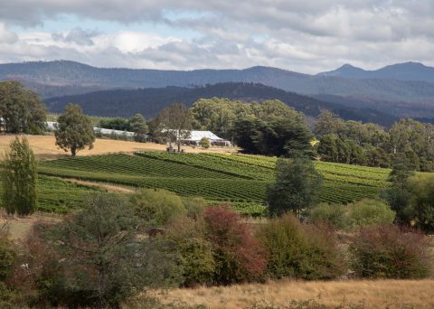 Tasmania’s Huon Valley