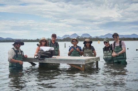 Niall Chang at an oyster farm in Tasmania