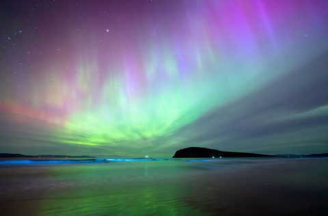 Blue Hour Aurora over Betsey Island, Tasmania