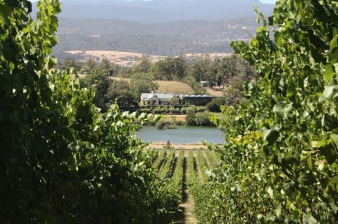 Josef Chromy, Tamar Valley winery