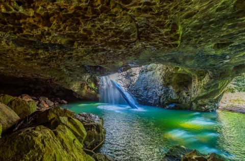 Natural Bridge Circuit, Springbrook National Park, Queensland