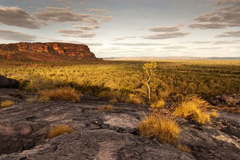 Kakadu National Park, NT