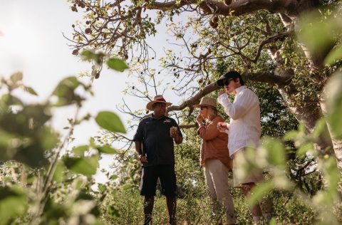 Cable Beach Club Resort & Spa