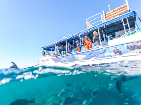 Glass-bottom boats, WA