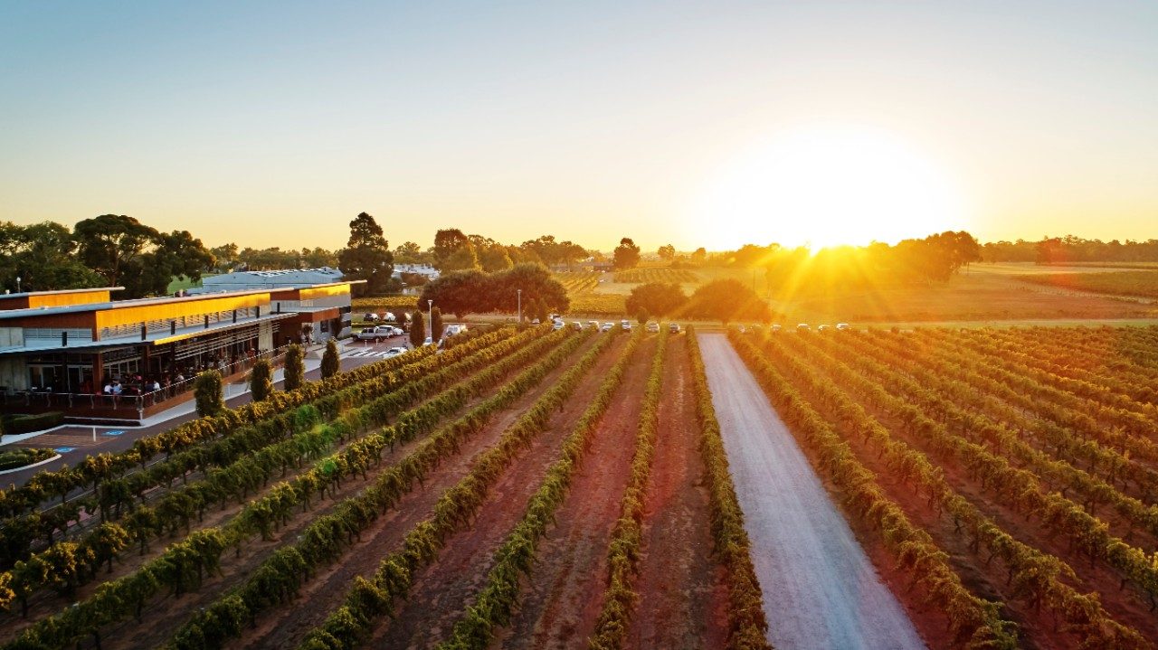 Mandoon Estate, Swan Valley, WA