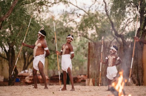 Wakaj Experience danvers near Broome