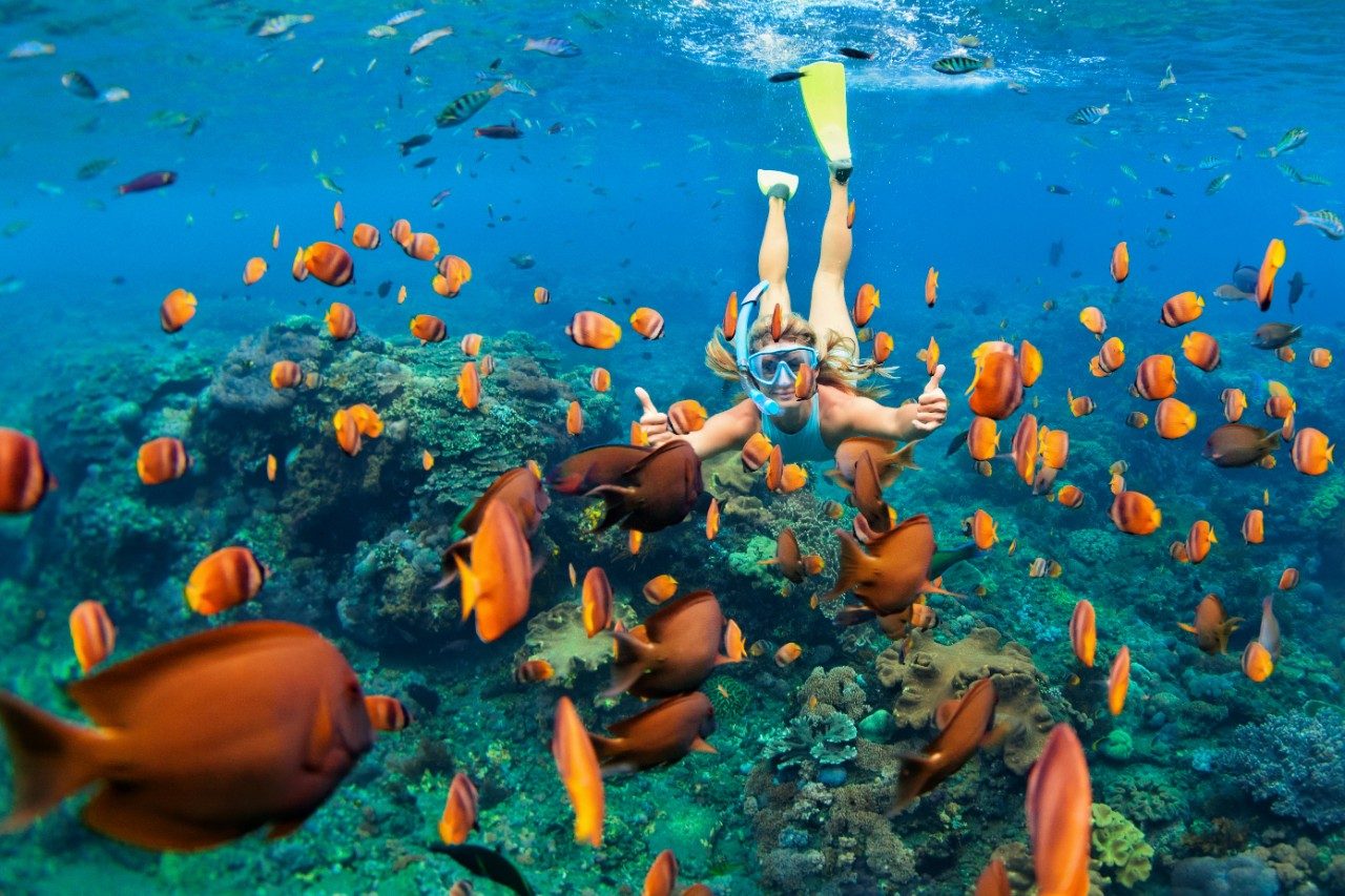 Snorkelling with fish in Australia