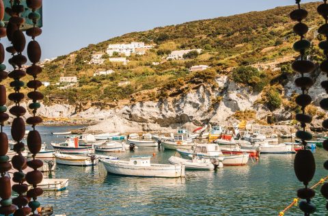 Dining on the marina in Ponza, Italy