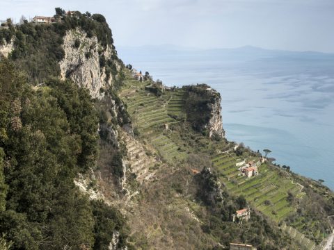 Your Guide to Food and Wine in Southern Italy