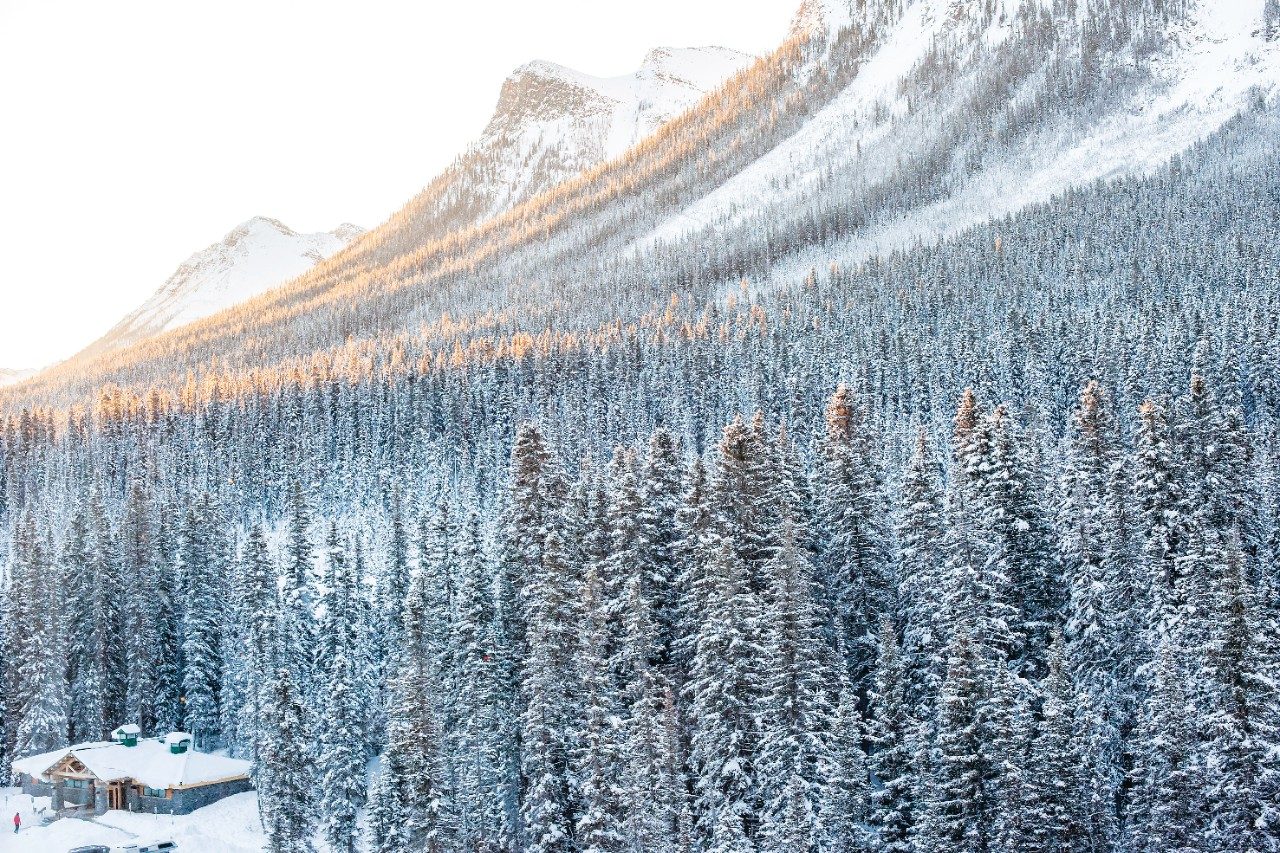 mountains and snow in the canadian rockies