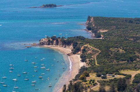 Waiheke Island, Auckland