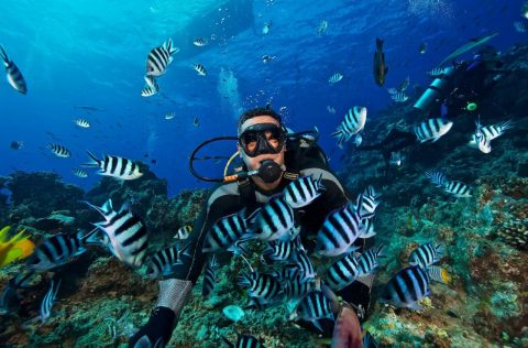 Scuba diving, Fiji