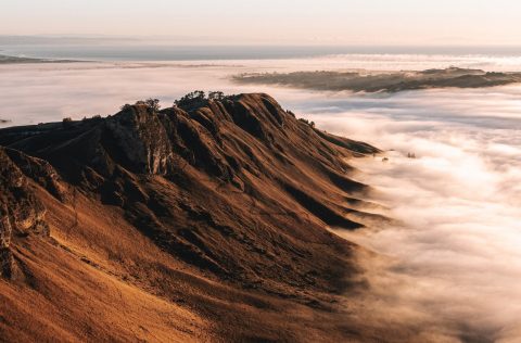 Te Mata Peak