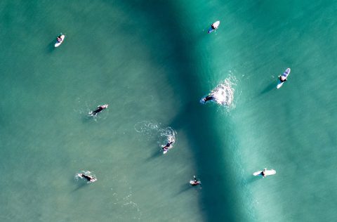 Surfers off the Northland coast