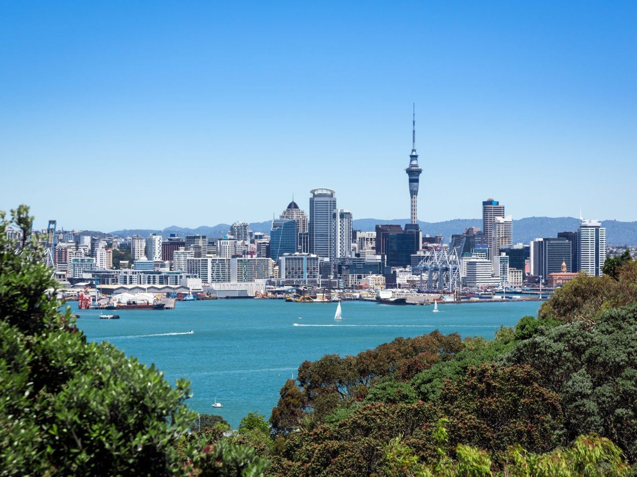 One Perfect Day in Auckland