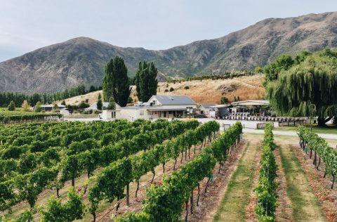 The wine garden at Kinross Winery in Central Otago, New Zealand