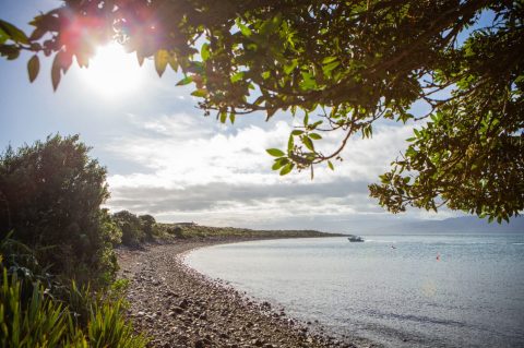 Kapiti Islands