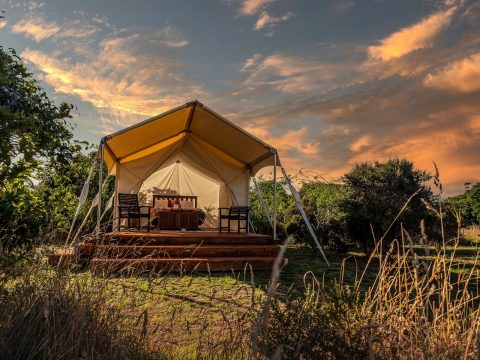 Glamping, Kapiti Island, New Zealand