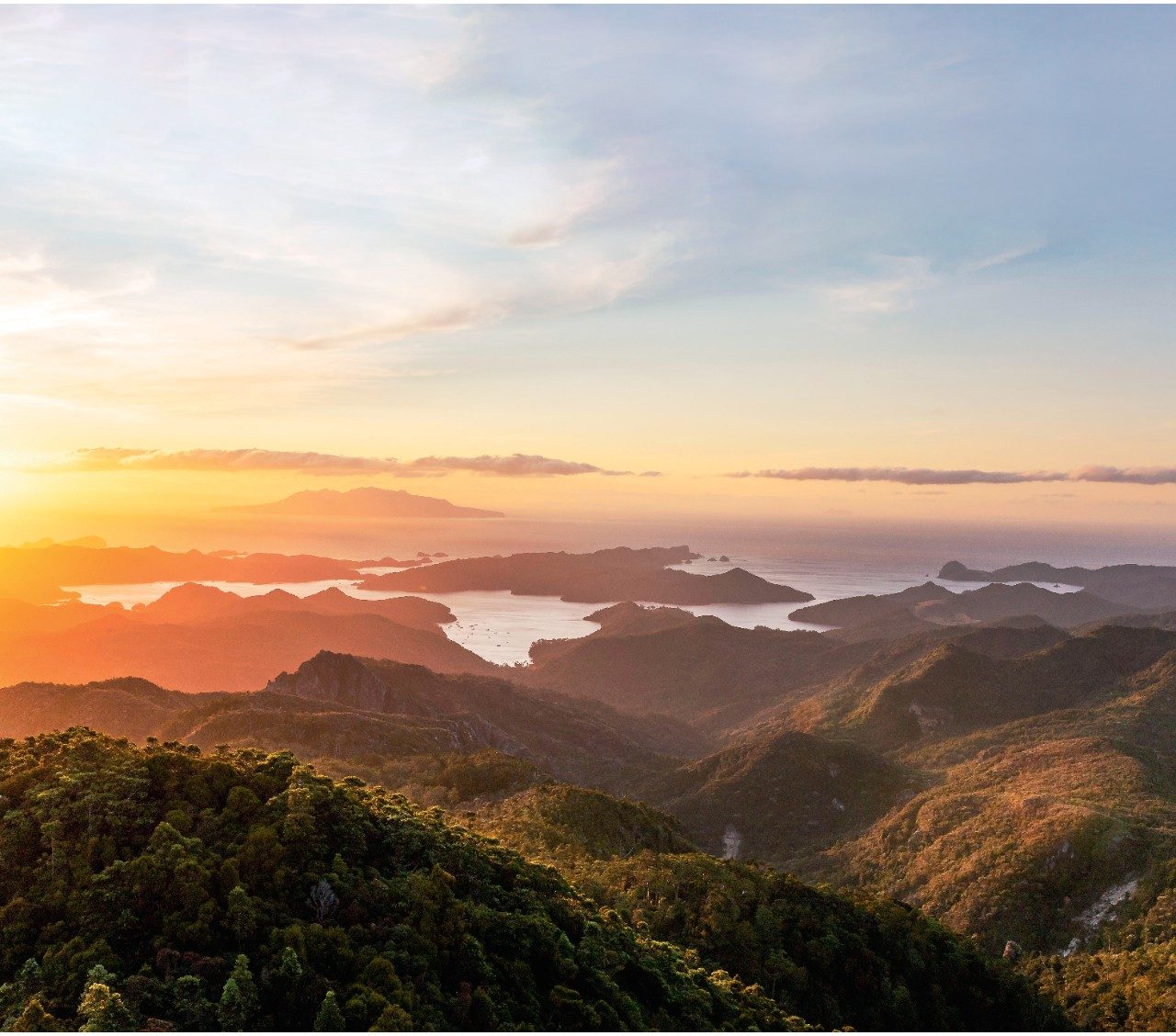 Great Barrier Island