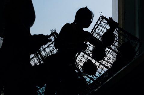 Find Flights with Qantas Now