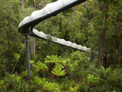 Dismal Swamp, Tasmania