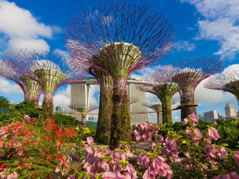 Gardens by the Bay