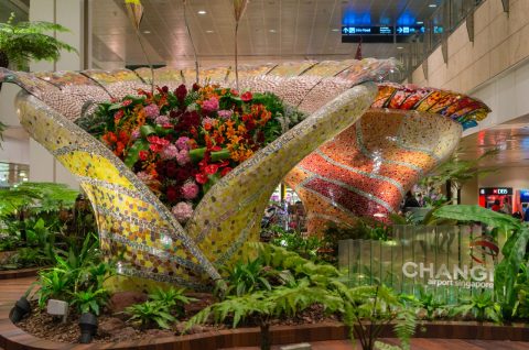 Changi Airport, Singapore