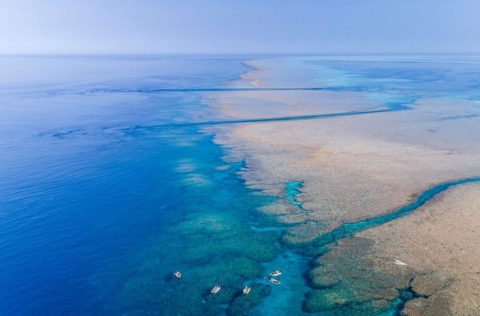 Clerke Lagoon, Rowley Shoals