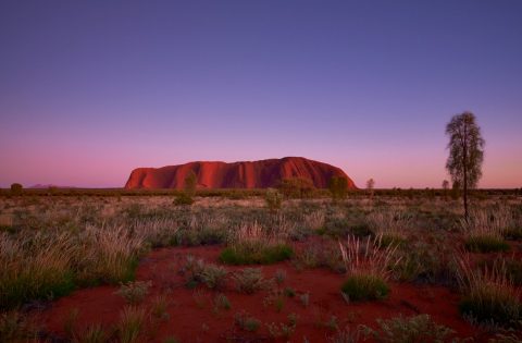 Book flights to Uluru