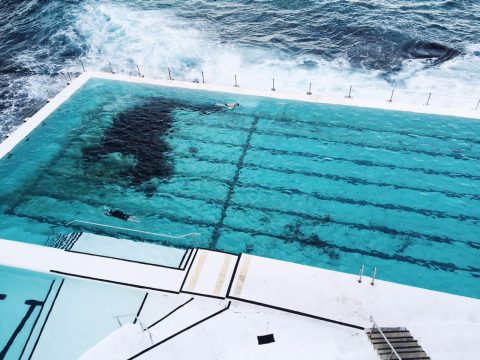 icebergs bondi view sydney