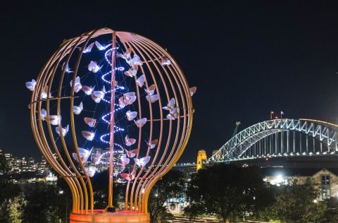 Vivid Sydney, 2024