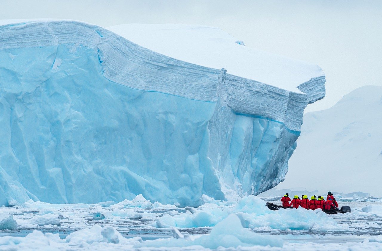 Cuverville Island, Antarctica